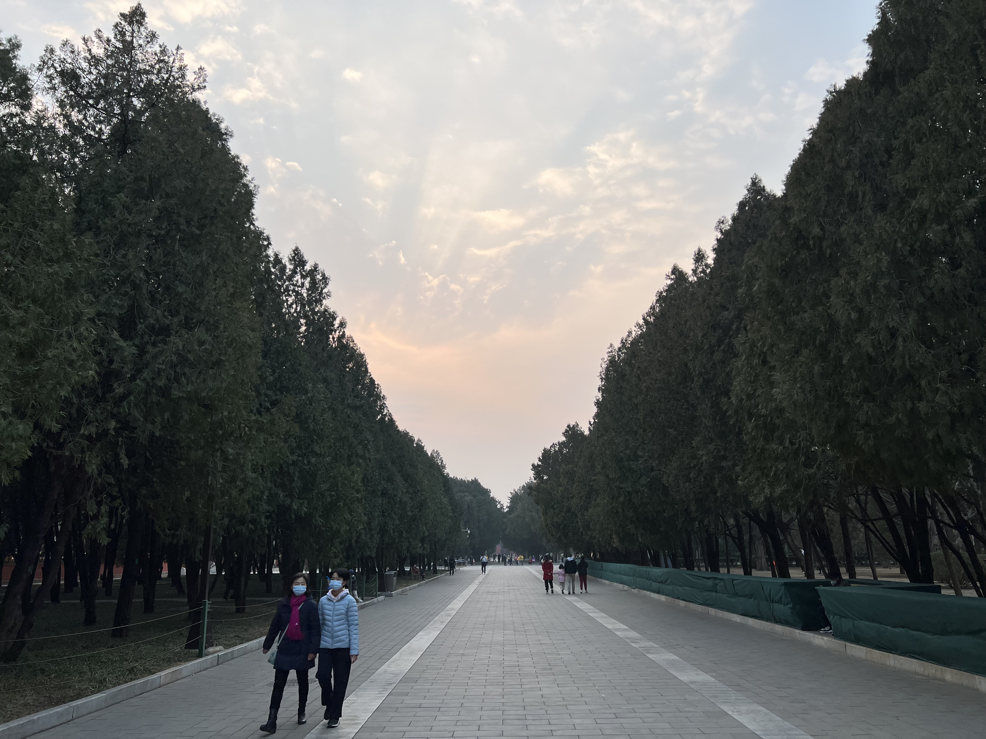 IMG_1698.jpeg