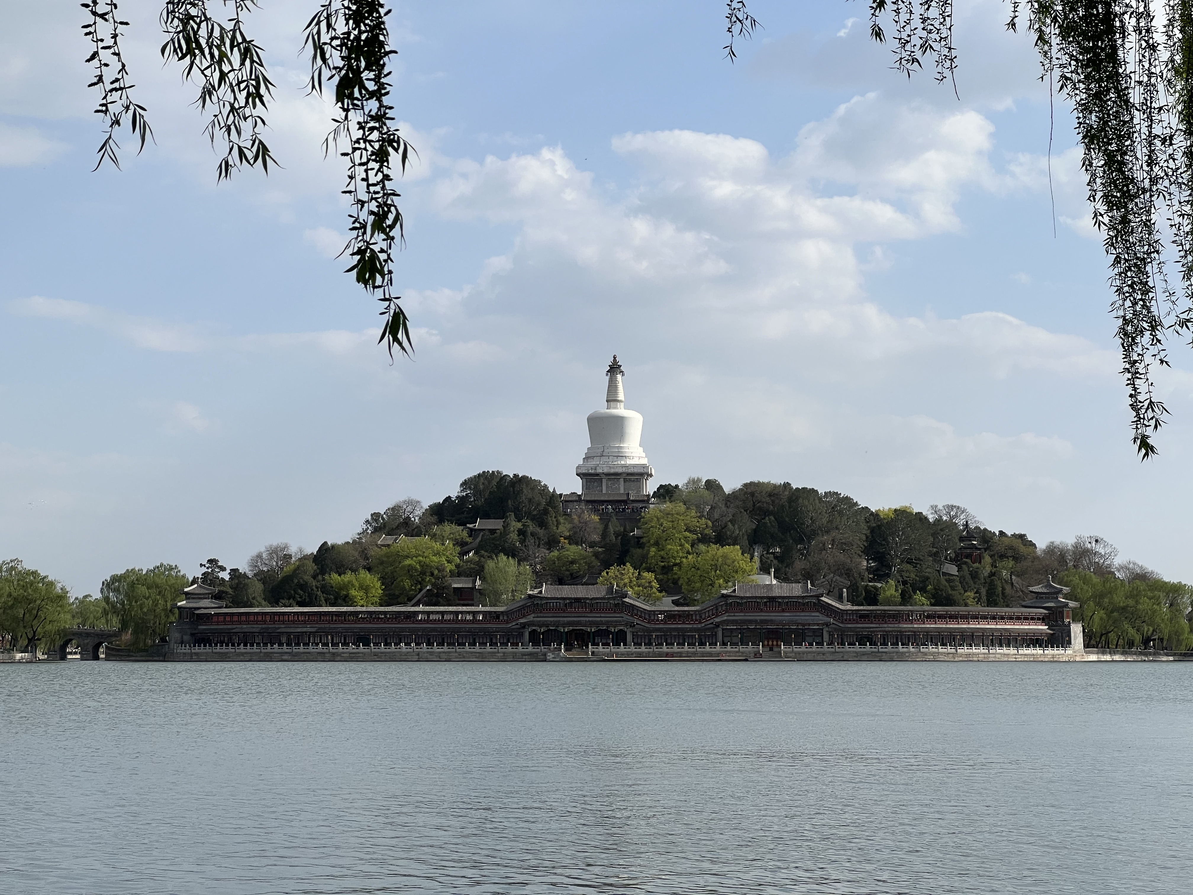 IMG_3263.jpeg